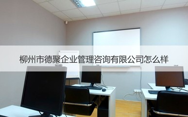 柳州市德聚企業(yè)管理咨詢公司 專業(yè)的二手車經(jīng)紀(jì)與信息咨詢服務(wù)商